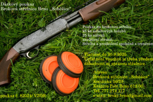 Vouchery - Dárkové poukazy Voucher_Vzor1.png